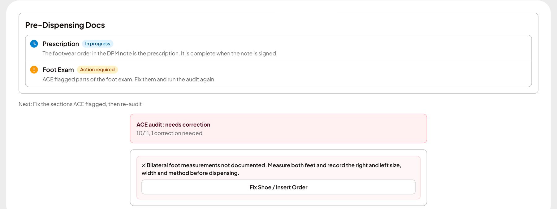 An ACE audit that passed 10 of 11 checks and names the missing foot measurement